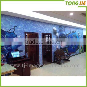 Vinyl Decorative Vinyl Temperature Sticker photo-4