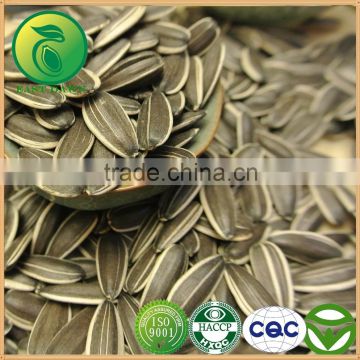 Vegetable Sunflower Seeds Oil Edible