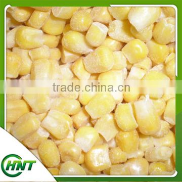 Iqf Sweet Corn