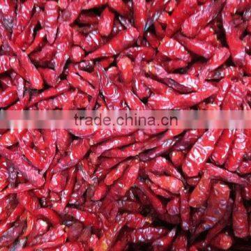 Vietnam Chili With Cheap Price