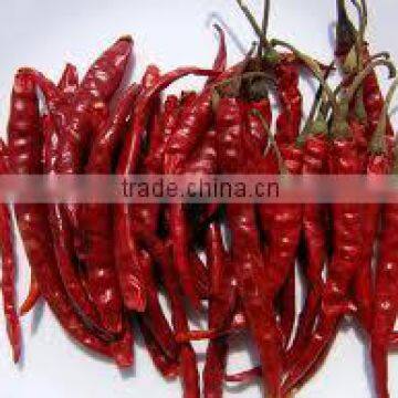 Vietnam Cheap Price chili pepper