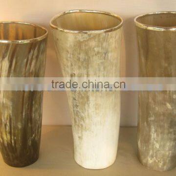 Buffalo horn flower vase with silver plated rim. Medium size