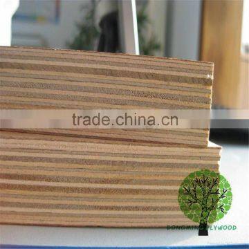 keruing veneer poplar fsc plywood shipping container plywood