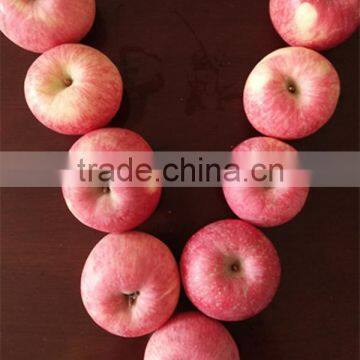 Red Color and Fuji Variety Apple Fresh FUJI Apple