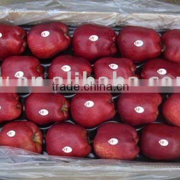 fresh sugar apple for sale fresh apple fruit wholesale distributors