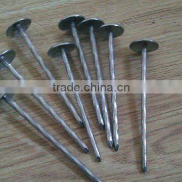 Coil Pallet Nails/galvanized hot dipped common nails