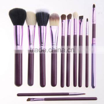 Pro 12Pcs Makeup Brushes Set With Holder Cup Case Beauty Eyeshadow Powder Blusher Cosmetic Brush Tools Kit