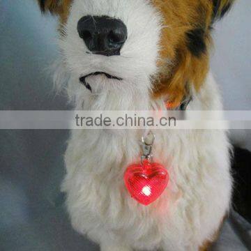 Pets Clothes and Accessories
