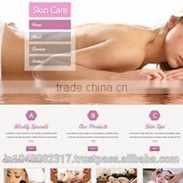 Responsive Website Designing Services India photo-4
