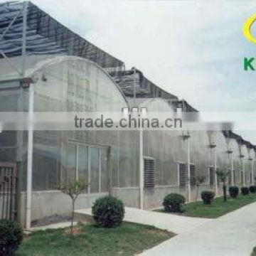 Multi-span film polyethylene greenhouse for agriculture