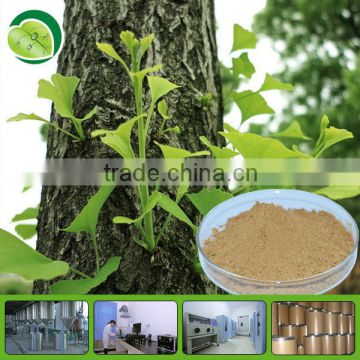 24% flavonoids ginkgo biloba extract