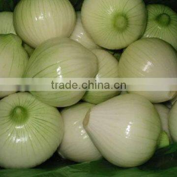 Onion Processing Line/onion Peeling Cutting Washing Machine/onion Peeler Cutter Washer photo-4