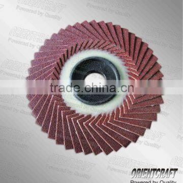 Flexible plastic backing flap disc