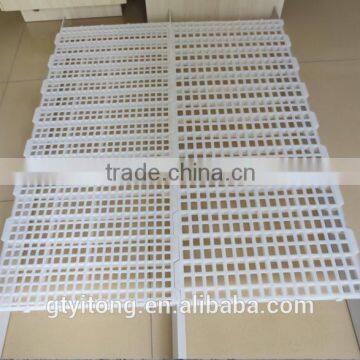 Chicken Plastic Floor for Slats photo-3