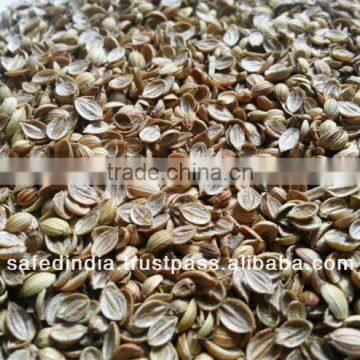 Coriander seed