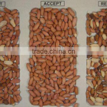 5000+pixel With Patented Ejector Groundnut Color Sorter With Hign Speed DSP Technology ,groundnut Grading Machine photo-5