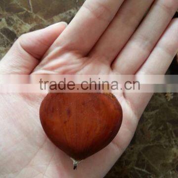 2015 crop frozen edible cut chestnuts price