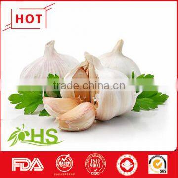 New crop fresh natural garlic of China