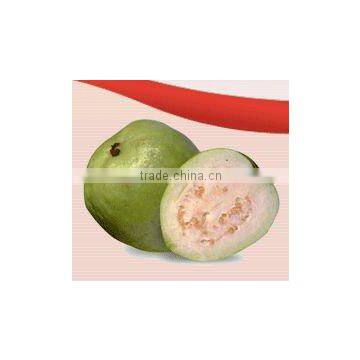 Aseptic Guava Puree