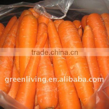 2014 fesh carrot from qingdao