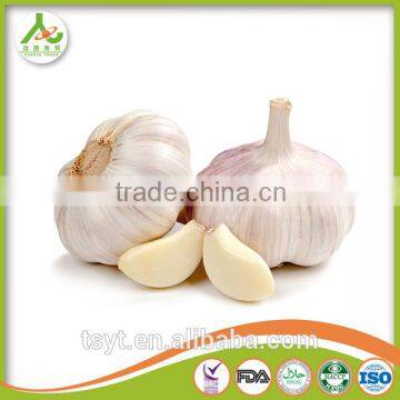 Fresh Garlic natural