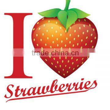 Healthy and Delicious Strawberry Chocolate Snack Food61