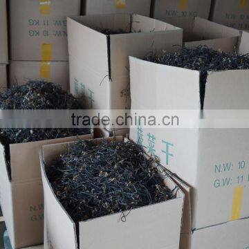 Wild Bracken photo-6