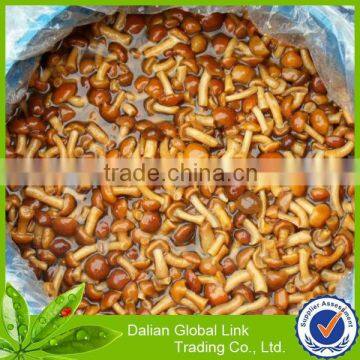 Fujian new crop canned nameko in brine