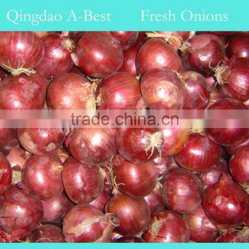 2014 crops 5cm-7cm Fresh Onions