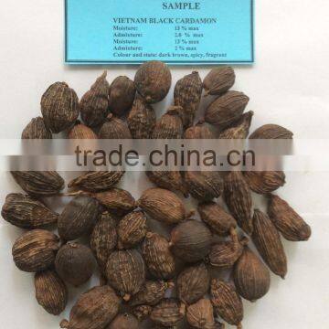 VIETNAMESE SUPPLIER OF BLACK CARDAMON HIGH QUALITY GOOD PRICE