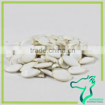 Wholesale Snow White Pumpkin Seeds With Price