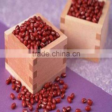 JSX cheap price for adzuki beans sprouting grade cheap price small red beans