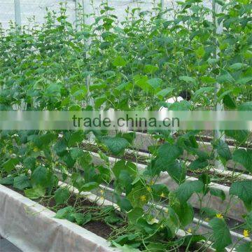 Tomato Growing Sun Shade Plastic Film Greenhouse photo-6
