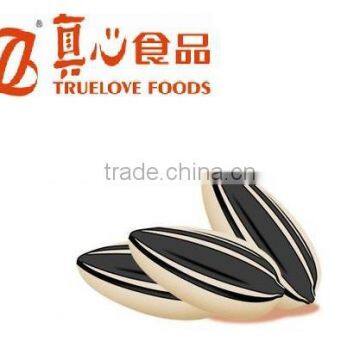 Common Cultivation Type Sunflower Seeds for Sale