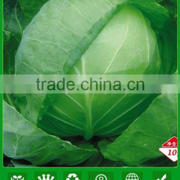 C02 YR green pearl 55 days round cabbage seeds of hybrid vegetable seeds