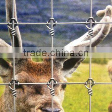 high quality cross knot fence/deer fence (Deming factory, ISO900 certificate)