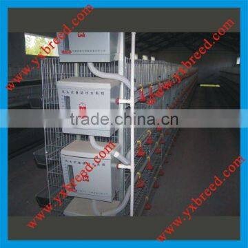 Meat & Broiler Chicken breeding cage