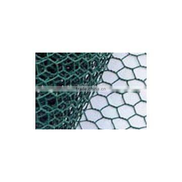 PVC coated Hexagonal Wire Mesh