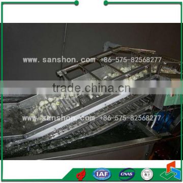 China Bubble Washing Machine,Fruit Washing Machine,Tomato Washing Machine