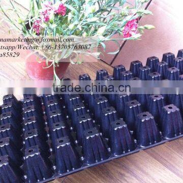 China Cheapest Price 72 Cell Not Coated Plastic Planting Seedling Nursery Tray for Seed Germination photo-5