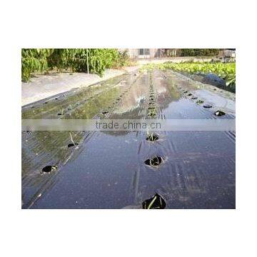 Agricultural Perforated Plastic Film Manufacturer photo-2