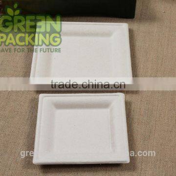 Sugarcane Unbleached Biodegradable Plates Made From Bamboo photo-2