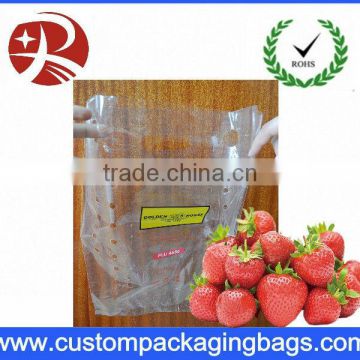 bag for fruit picking