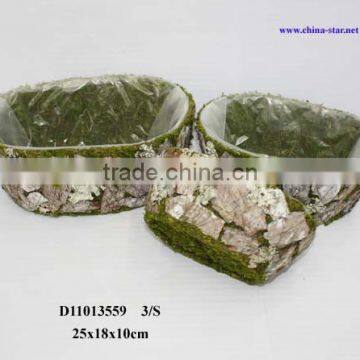 plastic planter with moss covered