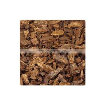 Pine Bark Extract photo-3