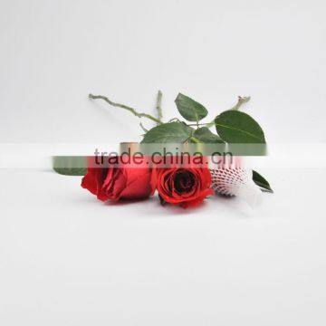 SGS Certificate Flower Bud Protective Sleeve Netting photo-5