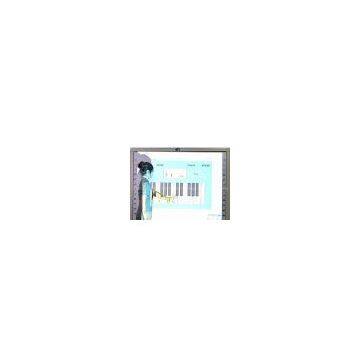 E@Board Infrared Interactive Whiteboard (88