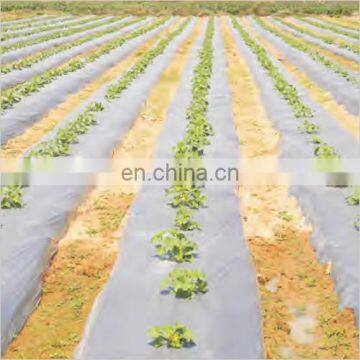 agriculture black silver mulch film/plastic mulch film/PE silver black mulch film