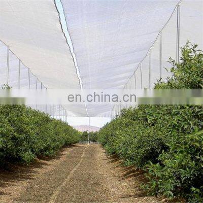 Uv Stabilized Anti Hail Nets Anti Hail Net Anti Hail Protection Net Hdpe