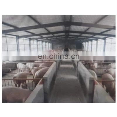 low cost steel structure pig breeding shed/piggery/hog house